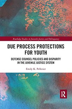 portada Due Process Protections for Youth (Routledge Studies in Juvenile Justice and Delinquency) (en Inglés)