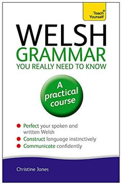 portada Welsh Grammar you Really Need to Know (Teach Yourself) 