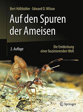portada Auf Den Spuren Der Ameisen (in German)
