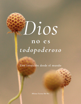 portada Dios no es Todopoderoso (in Spanish)