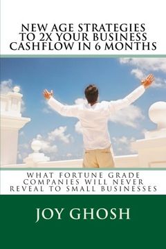 portada New Age Strategies To 2X Your Business Cashflow in 6 Months: What Fortune Grade Companies Will Never Reveal To Your Small Businesses: Volume 1 (What ... Won't Never Reveal To Small Businesses)