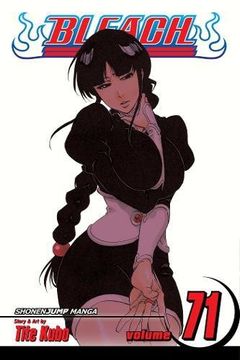 Bleach Volume 71 (en Inglés)