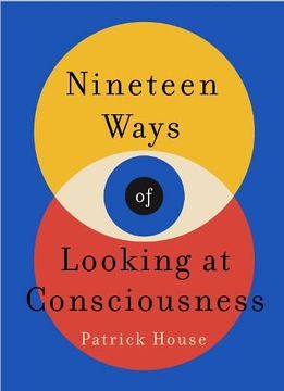 portada Nineteen Ways of Looking at Consciousness: Our Leading Theories of how Your Brain Really Works