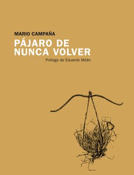 portada Pájaro de nunca volver (in Spanish)