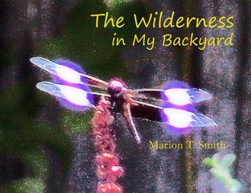 portada The Wilderness in My Backyard (en Inglés)