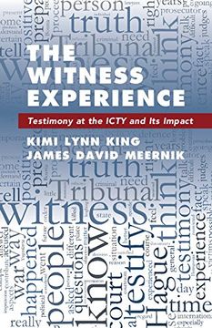 portada The Witness Experience: Testimony at the Icty and its Impact 