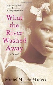 portada What the River Washed Away (en Inglés)