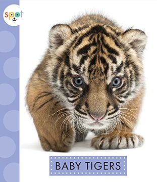 portada Baby Tigers (Spot Baby Animals)