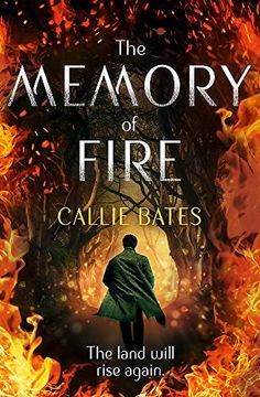 portada The Memory of Fire: The Waking Land Book ii (The Waking Land Series) (in English)