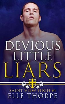 portada Devious Little Liars: A High School Bully Romance (1) (Saint View High) (en Inglés)
