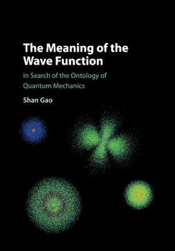 portada The Meaning of the Wave Function: In Search of the Ontology of Quantum Mechanics (en Inglés)