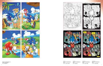 Sonic the Hedgehog: The IDW Comic Art Collection (en Inglés)
