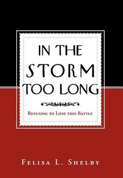 portada in the storm too long (in English)