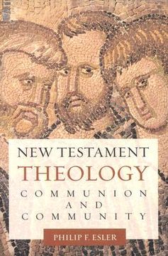 portada new testament theology: communion and community (in English)