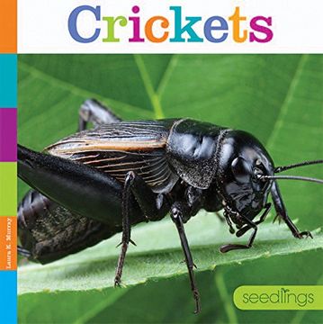 portada Crickets (Seedlings)