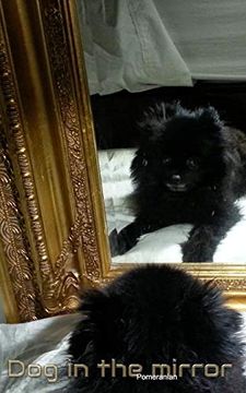 portada Dog in the Mirror Pomeranian (in English)