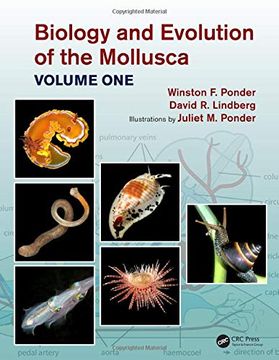 portada Biology and Evolution of the Mollusca, Volume 1 (en Inglés)