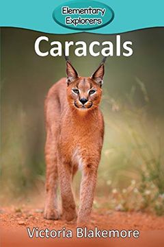 portada Caracals (Elementary Explorers) (in English)