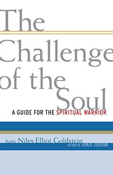 portada The Challenge of the Soul: A Guide for the Spiritual Warrior 