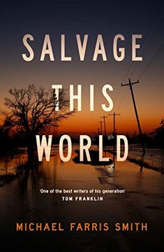 portada Salvage This World (in English)