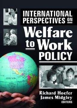 portada international perspectives on welfare to work policy (en Inglés)