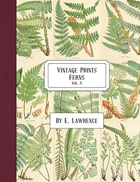 portada Vintage Prints: Ferns: Vol. 5 (en Inglés)