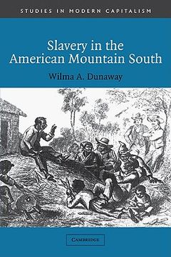 portada Slavery in the American Mountain South (Studies in Modern Capitalism) 