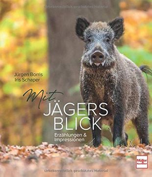 portada Mit Jägers Blick: Erzählungen und Impressionen (in German)