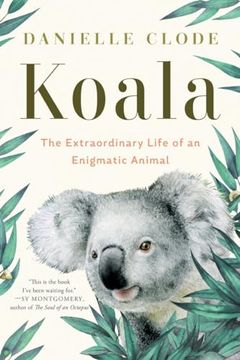 portada Koala: The Extraordinary Life of an Enigmatic Animal 