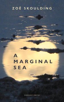 portada A Marginal Sea (in English)