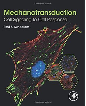 portada Mechanotransduction: Cell Signaling to Cell Response (en Inglés)