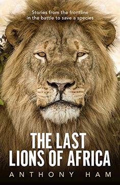 portada The Last Lions of Africa: Stories from the Frontline in the Battle to Save a Species (in English)