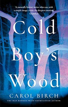 portada Cold Boy'S Wood 