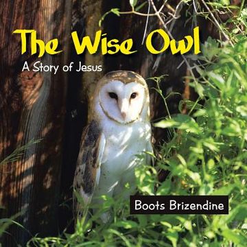 portada The Wise Owl: A Story of Jesus (in English)