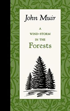 portada A Wind-Storm in the Forests (American Roots)
