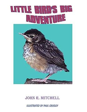 portada Little Bird's big Adventure (en Inglés)