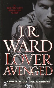 portada Lover Avenged (en Inglés)