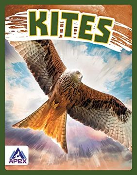 portada Kites (Birds of Prey) (en Inglés)