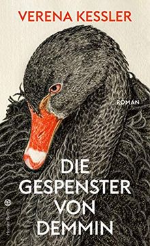 portada Die Gespenster von Demmin -Language: German (in German)