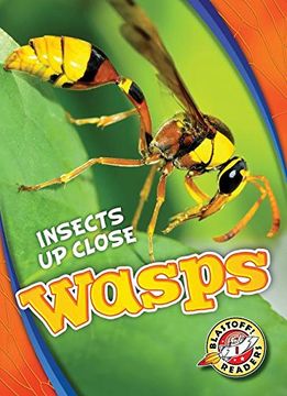 portada Wasps (Blastoff Readers. Level 1: Insects up Close) (en Inglés)