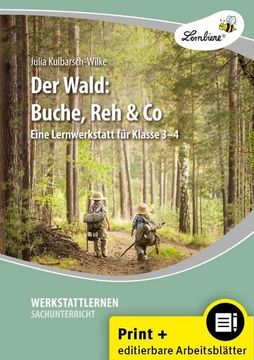 portada Der Wald: Buche, reh & co (en Alemán)