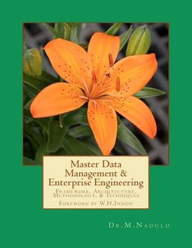 portada master data management & enterprise engineering (in English)