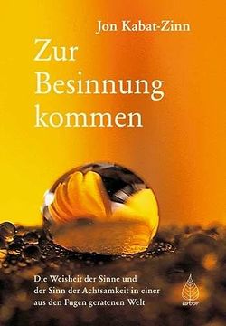 portada Zur Besinnung Kommen: Die Weisheit der Sinne und der Sinn der Achtsamkeit in Einer aus den Fugen Geratenen Welt (in German)