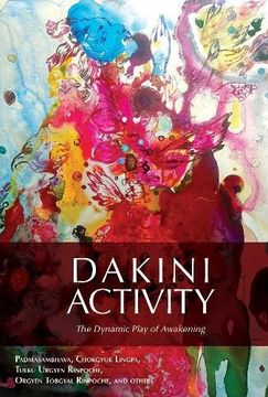 portada Dakini Activity: The Dynamic Play of Awakening 