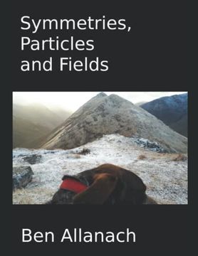 portada Symmetries, Particles and Fields (in English)