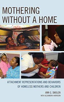 portada Mothering Without a Home: Attachment Representations and Behaviors of Homeless Mothers and Children (The Vulnerable Child: Studies in Social Issues and Child Psychoanalysis) (en Inglés)