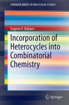 portada Incorporation of Heterocycles Into Combinatorial Chemistry (Springerbriefs in Molecular Science) (en Inglés)