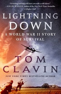 portada Lightning Down: A World war ii Story of Survival (en Inglés)