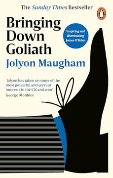 portada Bringing Down Goliath: How Good law can Topple the Powerful (in English)