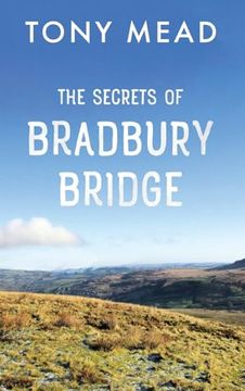 portada The Secrets of Bradbury Bridge